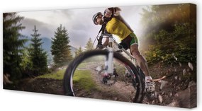 Obraz drukowany na płótnie Szczyty Gór i Rower