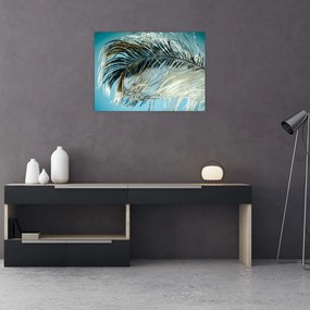 Obraz na szkle - pióro (70x50 cm)