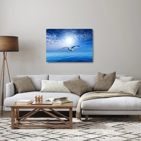 Obraz na szkle - Mewa nad morzem (70x50 cm)