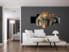 Obraz - Gepard (125x70 cm)