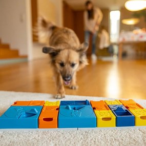 Łamigłówka dla psów – Pawzler