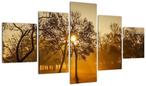 Obraz - Wschód słońca (125x70 cm)