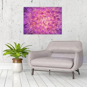 Obraz na szkle - szczegółowy obraz kwiatu (70x50 cm)