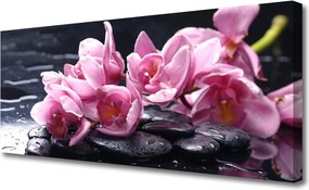 Fotoobraz na płótnie Egzotyczny Kwiat Orchidei