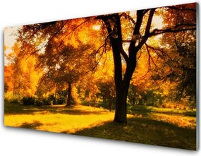 Panel Szklany Złota Jesień w Lesie