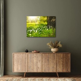 Obraz polany i kwiatów (70x50 cm)