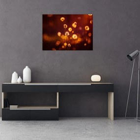 Obraz - Poranek (70x50 cm)