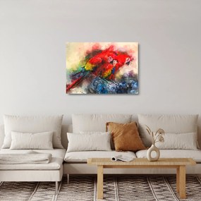 Obraz na szkle czerwonych papug Ara (70x50 cm)