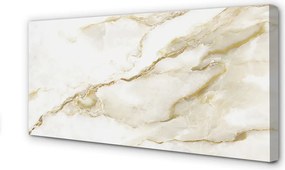 Fotoobraz na płótnie Płytka Marmurowa w Zbliżeniu