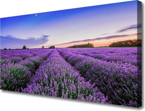 Obraz na płótnie Letnia Łąka Pełna Kwiatów