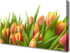 Obraz canvas Klasyczny Bukiet Tulipanów