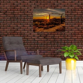 Obraz - Koniec dnia na pustyni w Arizonie (70x50 cm)