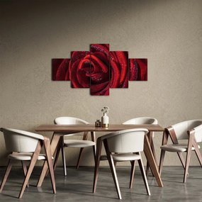Obraz - Czerwona róża z kroplami rosy (125x70 cm)