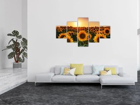 Obraz - Słonecznik (125x70 cm)