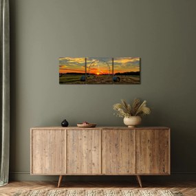 Obraz - Wiejskie bale (z zegarem) (90x30 cm)