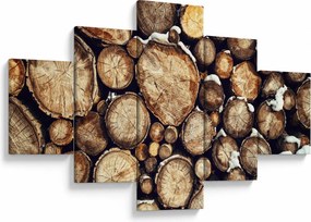 Obraz - Drewno w śniegu (125x70 cm)
