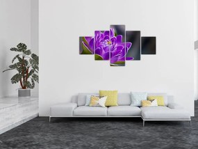 Obraz kwiatu (125x70 cm)