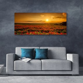 Obraz canvas Maki w Blasku Zachodzącego Słońca