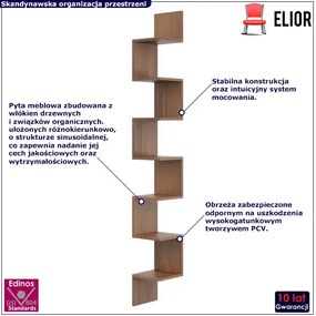Półka narożna na ścianę w kolorze orzech - Flora 5X