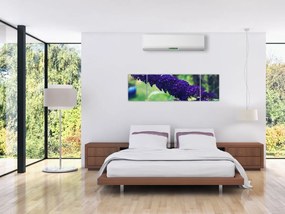 Obraz niebieskiego kwiatu (170x50 cm)