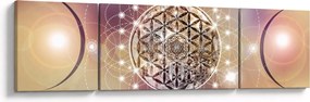 Obraz - Mandala z elementami (170x50 cm)