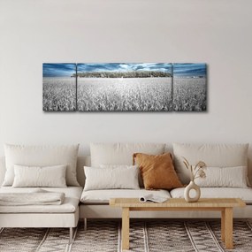 Obraz pola (170x50 cm)