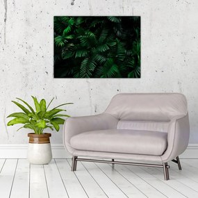 Obraz - Paprocie tropikalne (70x50 cm)
