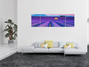 Obraz - Lewndowe pole (170x50 cm)