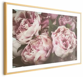 Plakat Różowe piwonie 60x40 cm z ramą złotą z marginesem ARTGEIST B
