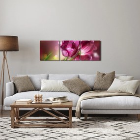 Obraz różowych tulipanów (z zegarem) (90x30 cm)