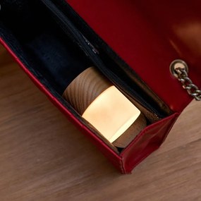 Dekoracja świetlna na USB w naturalnym kolorze ø 4,5 cm Lemelia – Gingko