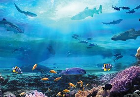 Fototapeta - W oceanie (196x136 cm)