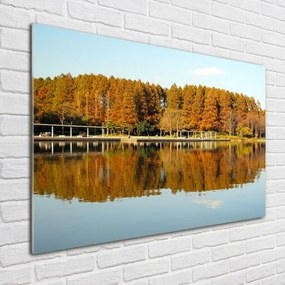 Foto obraz szklany Las nad jeziorem