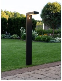 Ogrodowa lampa solarna LED Star Trading Vici, wys. 80 cm
