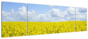 Obraz żółtego pola (170x50 cm)