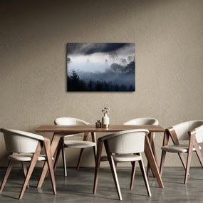 Obraz mgły nad lasem (70x50 cm)