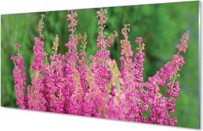 Panel Kuchenny Szklany Kompozycja Kwiatów i Wrzosów