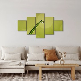 Obraz kropli wody na trawie (125x70 cm)