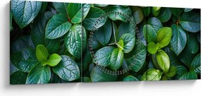 Obraz - Rośliny zielone (z zegarem) (90x30 cm)