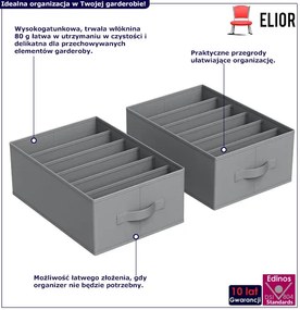 Zestaw 2 szarych organizerów z przegrodami - Rias