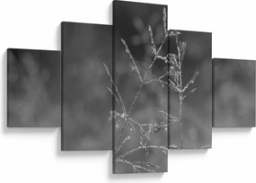 Obraz - Wiejska łąka (125x70 cm)