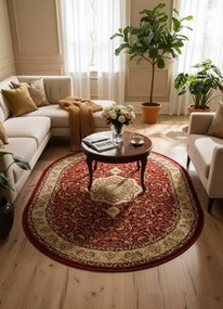 Czerwony owalny dywan w klasycznym stylu C6-S11