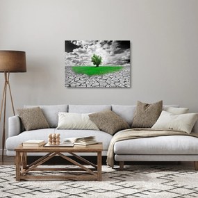 Obraz na szkle - Kawałek natury w mieście (70x50 cm)