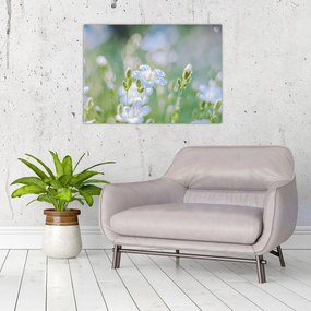 Obraz - Delikatne kwiaty (70x50 cm)