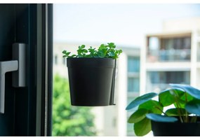 Plastikowe wiszące i ścienne doniczki zestaw 2 szt. ø 10 cm – Esschert Design