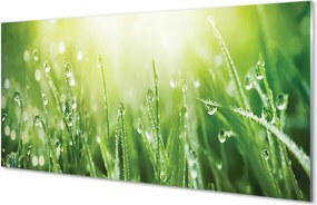 Szklany Panel Krople Rosy w Słońcu