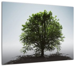 Obraz - Samotne drzewo (70x50 cm)