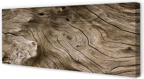 Fotoobraz na płótnie Rysunek Natury W Drewnie