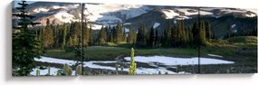 Obraz - Mount Rainier (170x50 cm)