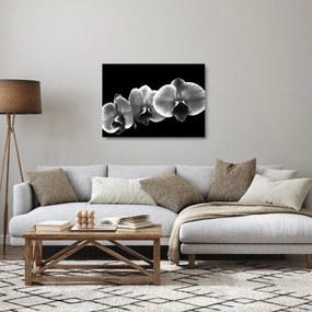 Obraz na szkle kwiatu orchidei (70x50 cm)